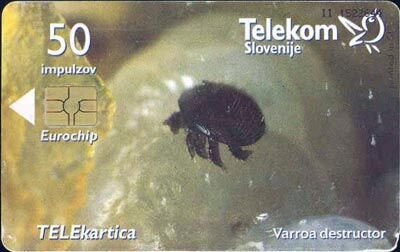 Telekartica 50