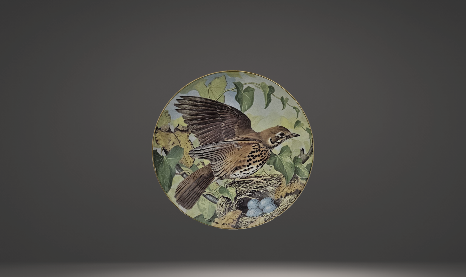 Song Thrush