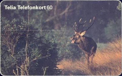 Telefonkort 60