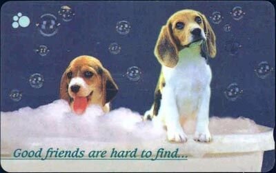 Good friends are hard to find