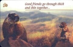 Good friends go througt thick and thin together