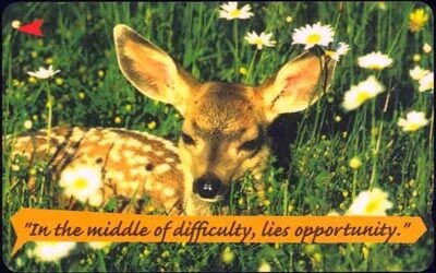 in the middle of difficulty lies opportunity