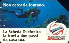 La Schade telefonica