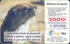 Fauna Iberica  Nutria