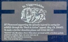 St Tiggywinkles 20